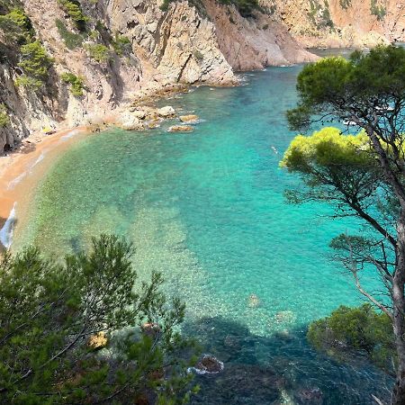 Zen Apartment Sea Views Tossa de Mar Kültér fotó